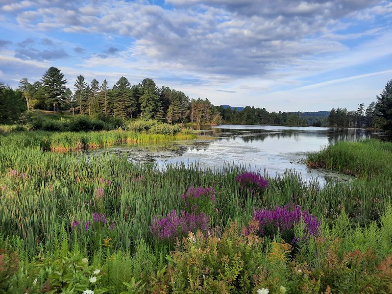 A Lake So Skinny It's Basically A River In Disguise