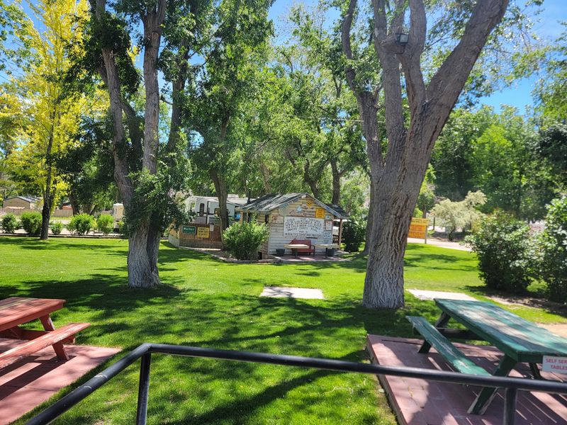 A Green Lawn And Patio Made For Lazy Lunches