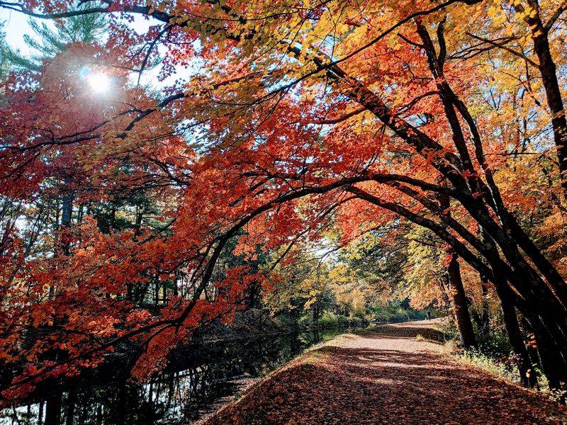 Plan Your Colorful Day Trip