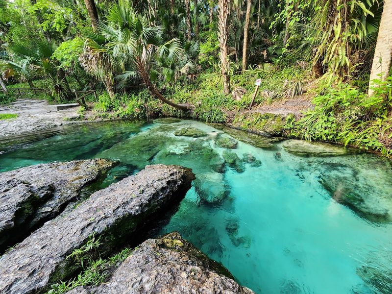 Kelly Park - Rock Springs, Apopka