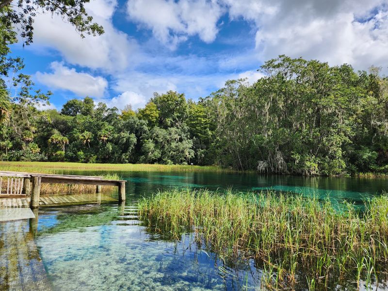 Rainbow Springs State Park