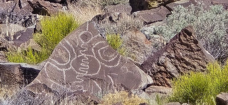 Lagomarsino Petroglyphs, Reno, NV