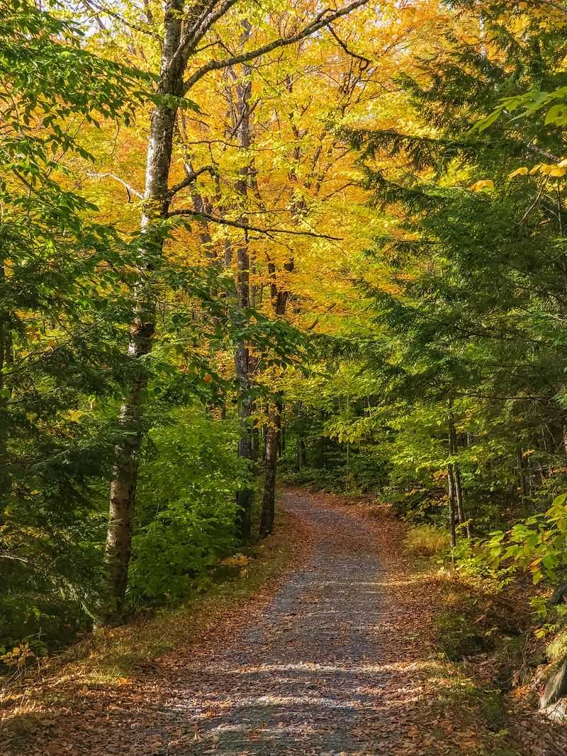 Borestone Mountain Audubon Sanctuary