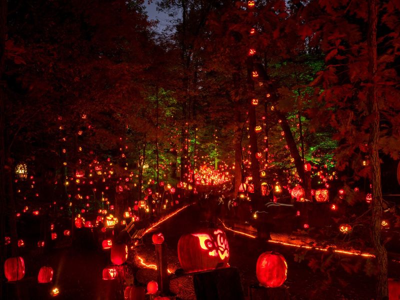 Dusk Is The Magic Hour For This Glowing Walk
