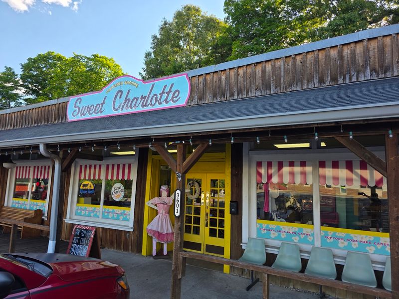 Sweet Charlotte And Its Treehouse Charm