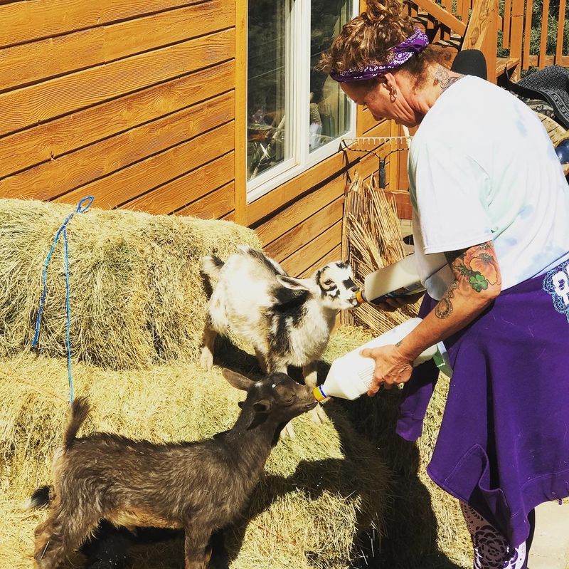 Om Home Healing Sanctuary - Animal Sanctuary