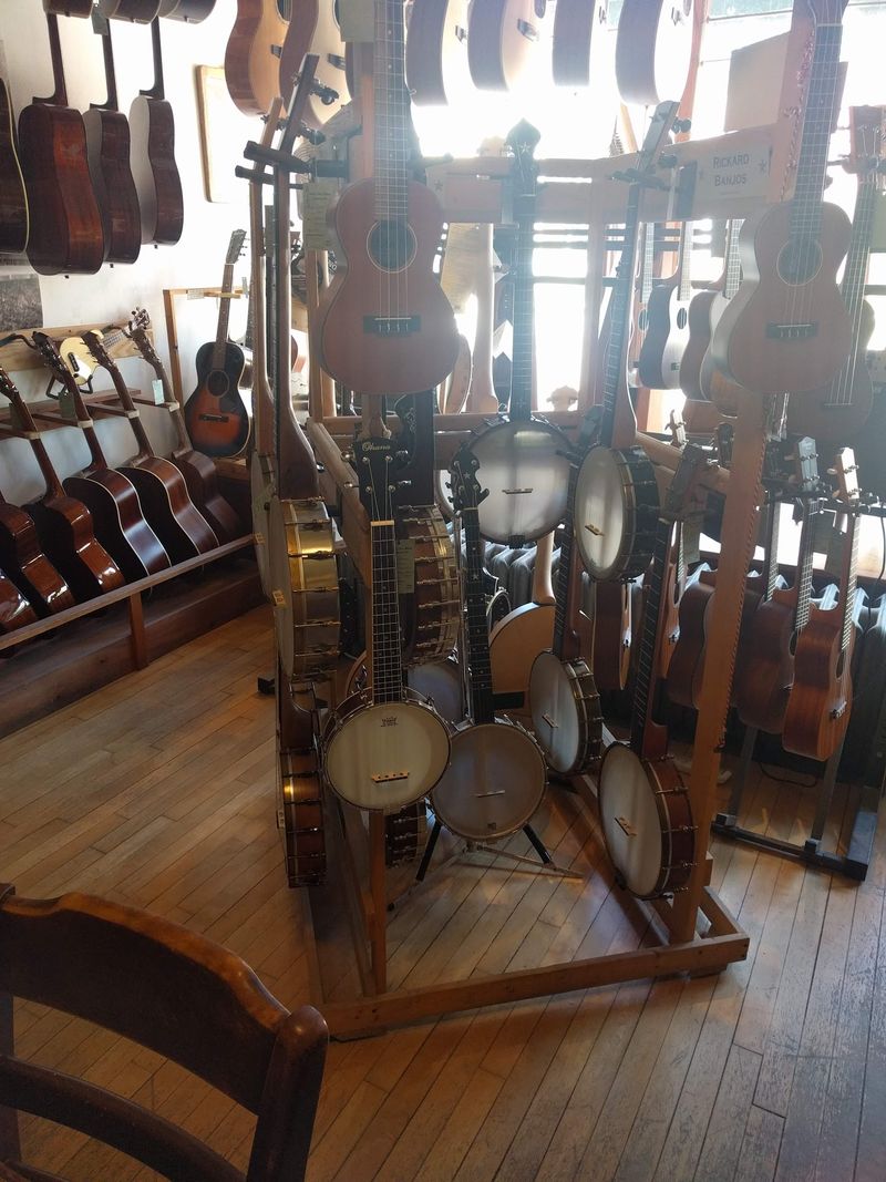 Harps, Dulcimers, And Banjos Share The Spotlight