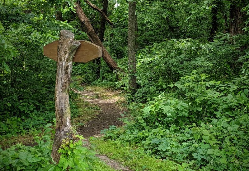 Follow The Arrows Or Meet A Mountain Bike Head-On