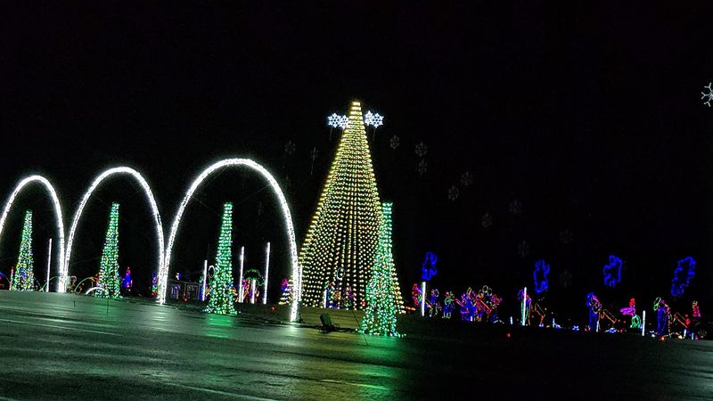 Three Rainbow Tunnels And One Very Tall Tree Steal The Spotlight