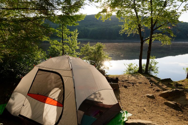 Beartown State Forest
