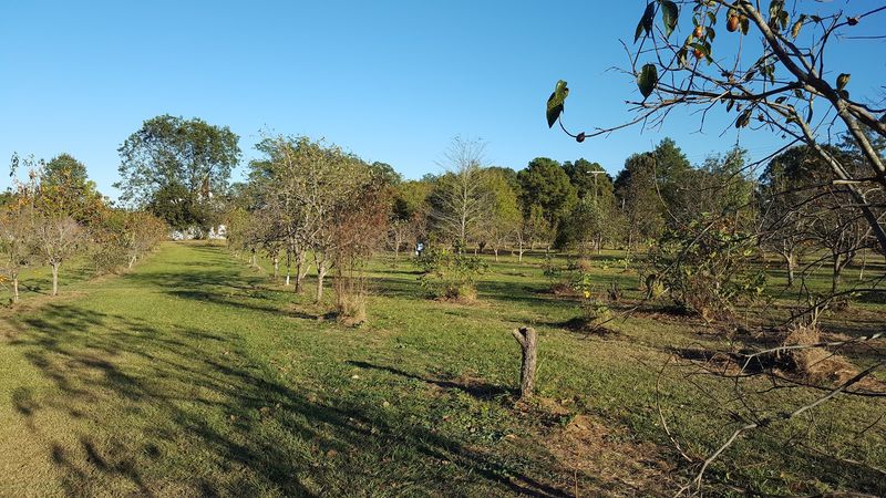 Picnics and Pick-and-Eat Afternoons