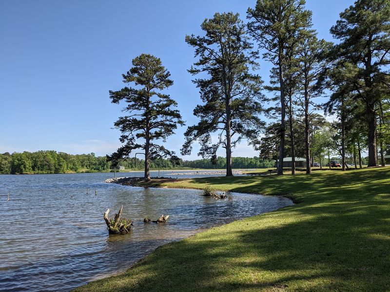 Lake Lamar Bruce