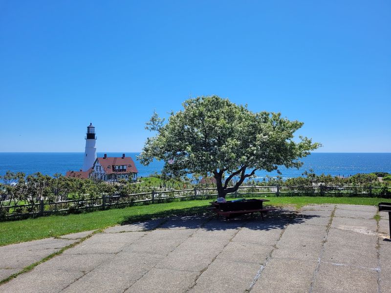 Bundle Up For A Chilly Picnic With A View