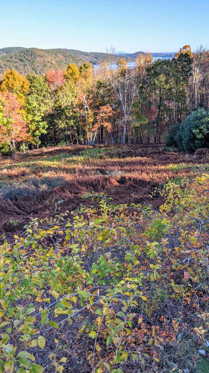 Dana Common Lets You Walk Through A Vanished Town