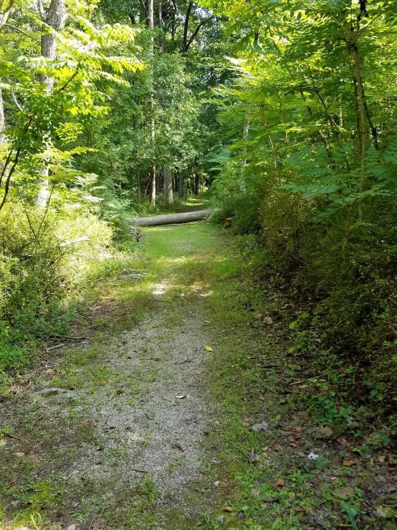 Redcoats Once Marched Right Down These Roads