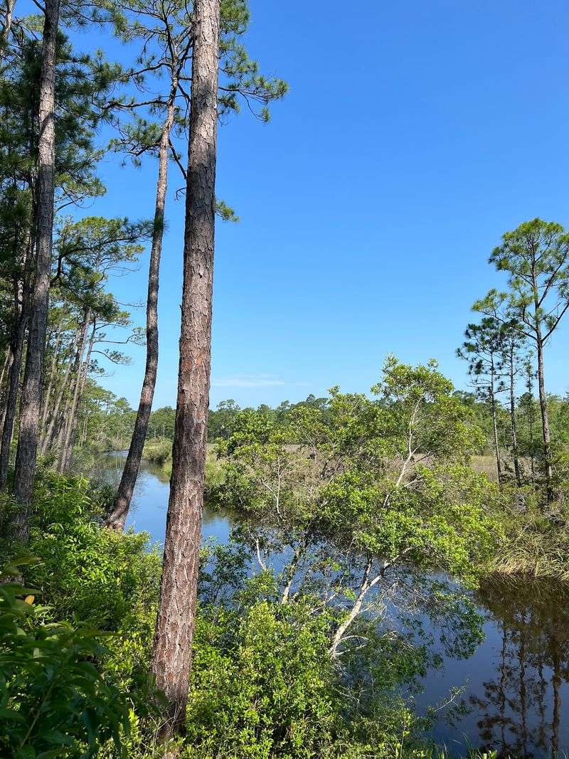 Thirty Minutes To A Ridge-Top Bayou View