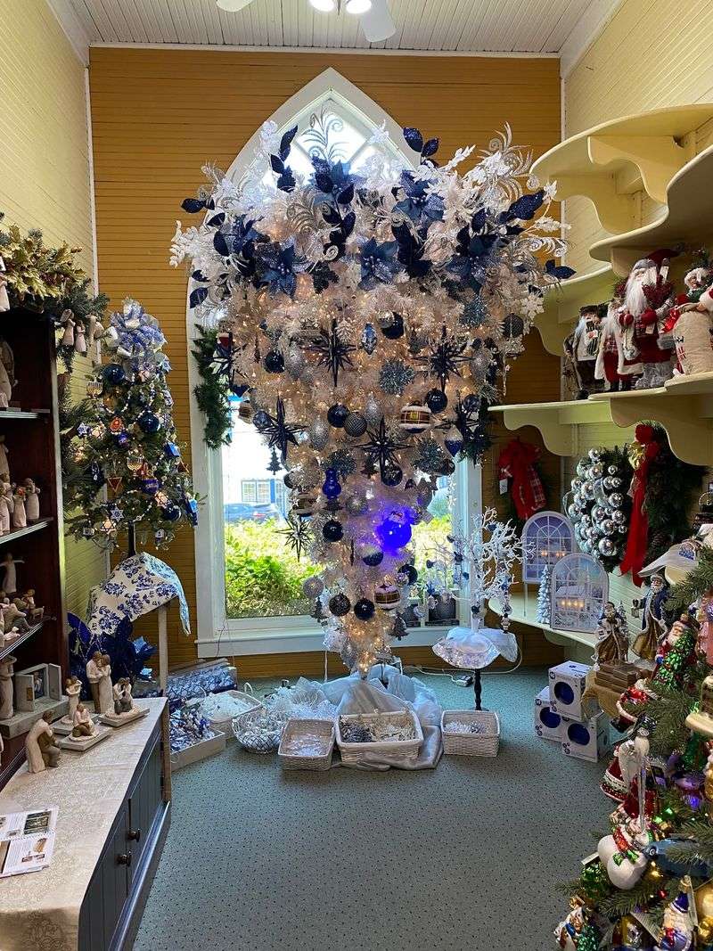 Upside Down Trees That Make You Look Twice
