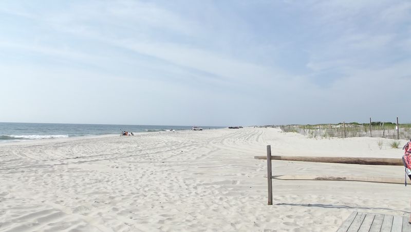 Trails Through Forest And Dune