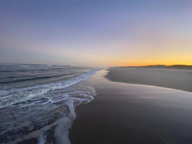 Waves, Boards, And Fishing Lines