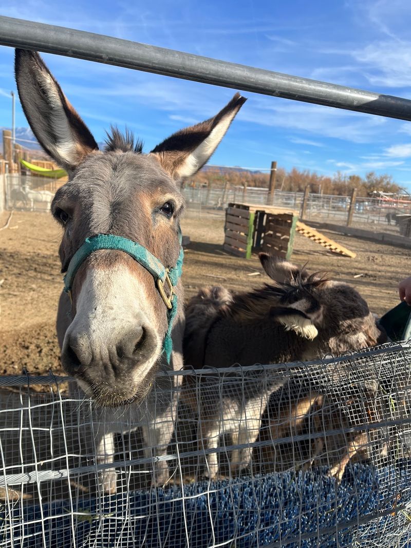 Friendly Hosts Who Know Every Animal By Heart