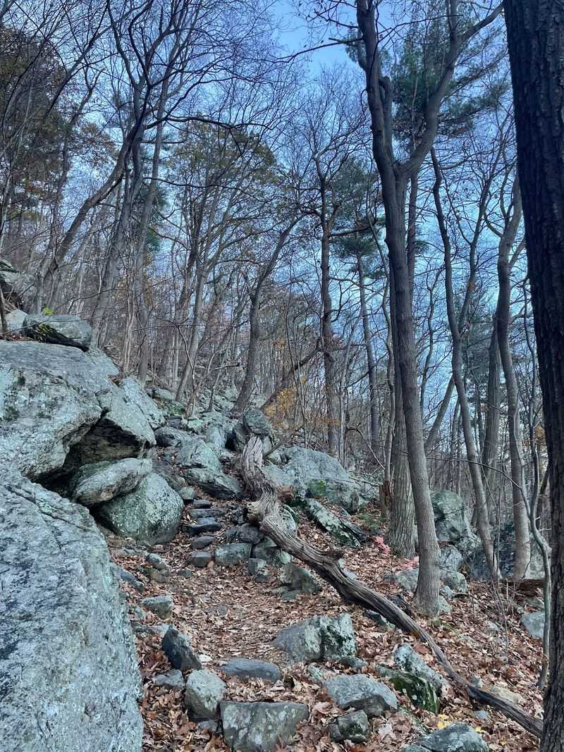 Gear That Makes The Climb Easier