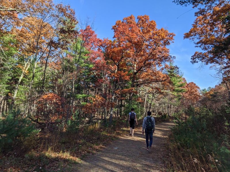 Fall Colors And Safe Steps