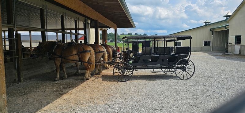 Buggy Rides And Ponies Keep Little Legs Busy