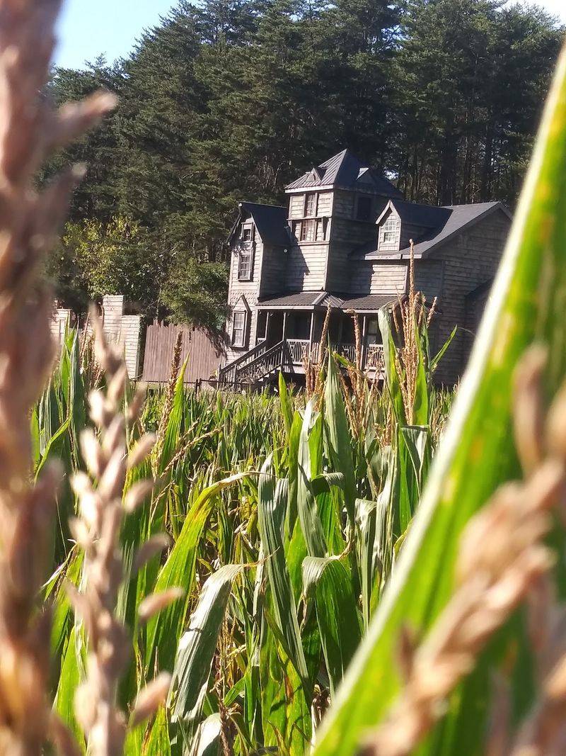 Horror Legends And A Creepy Cornfield Await