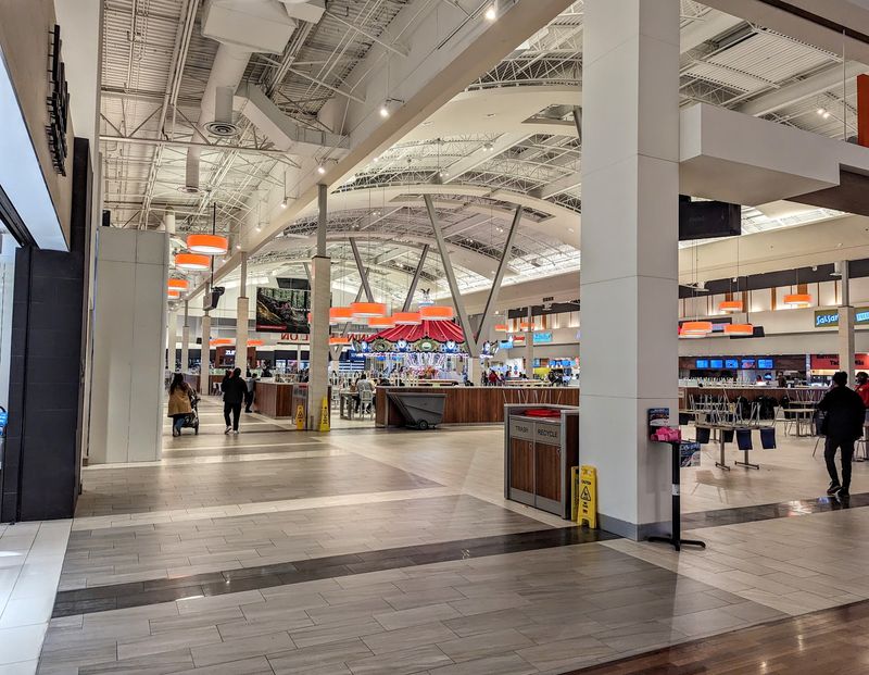 Fish Swimming Over Your Head? Yep, Inside A Mall