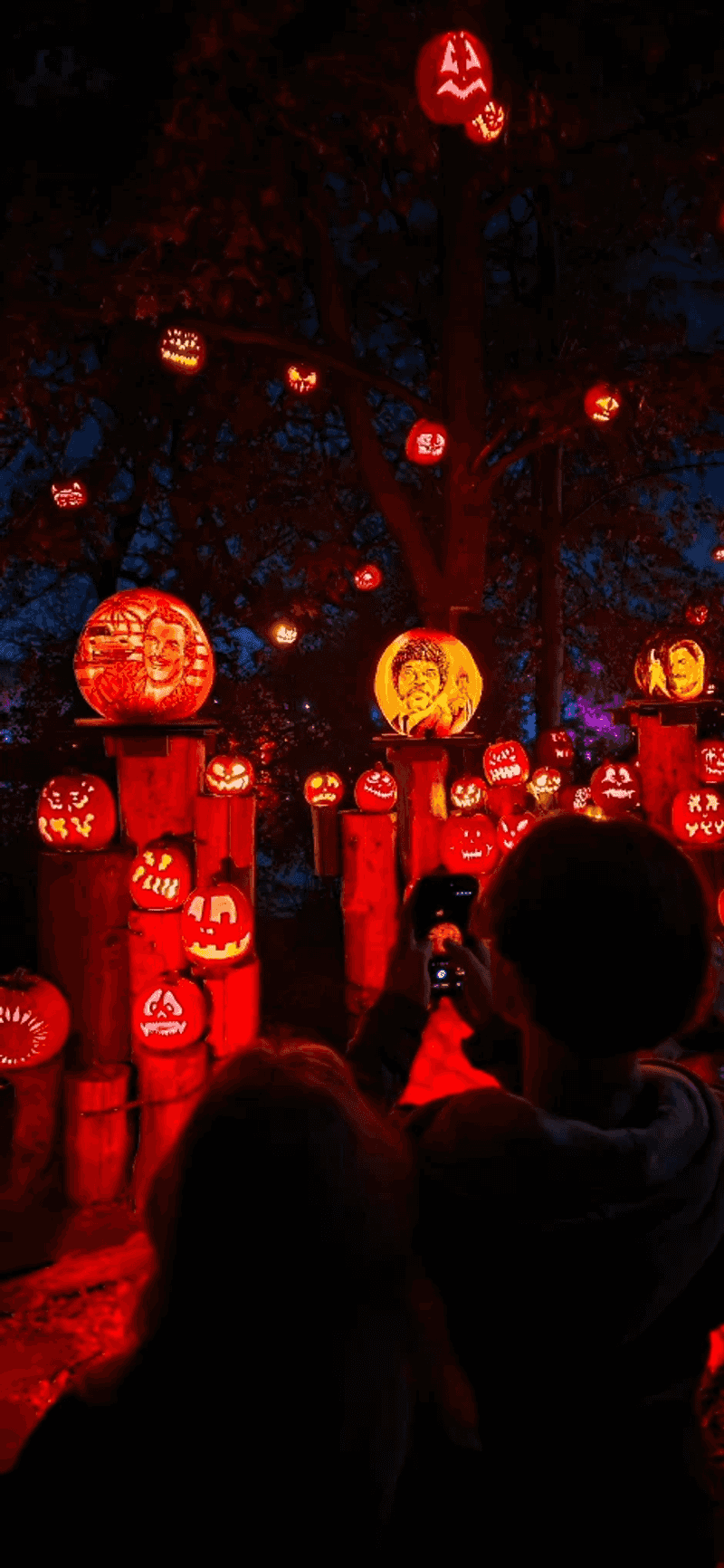 The Great Pun-Kin Trail Is The Star Of The Night