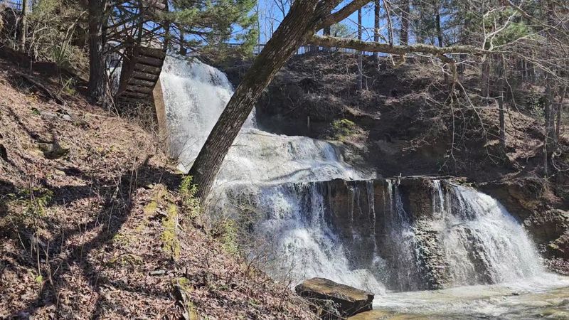 Hours, Fees, And The Best Season To Visit