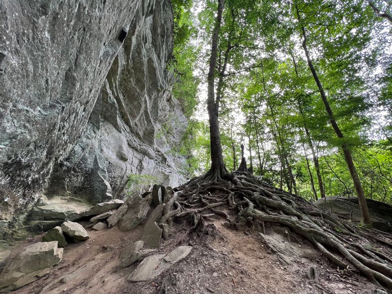 Cabins, Tent Pads, And A Bathhouse Worth Bragging About