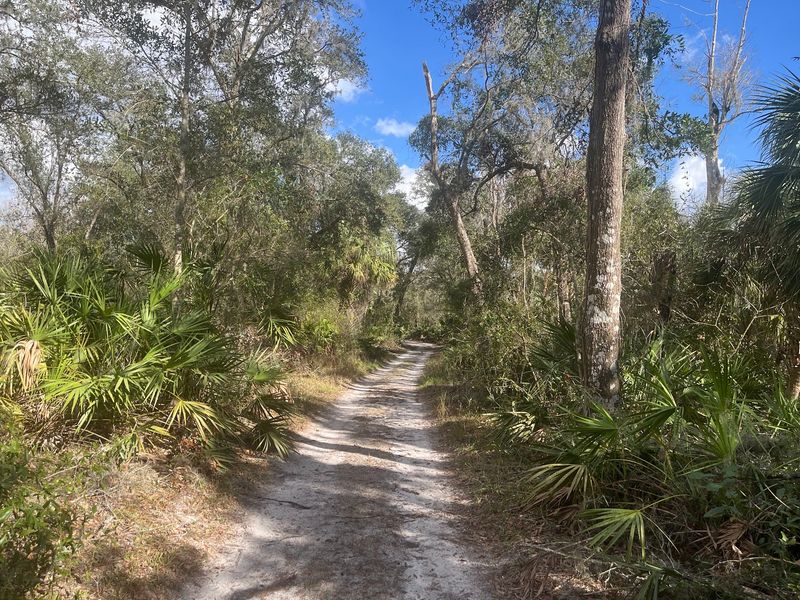 Trails Full Of Wild Neighbors