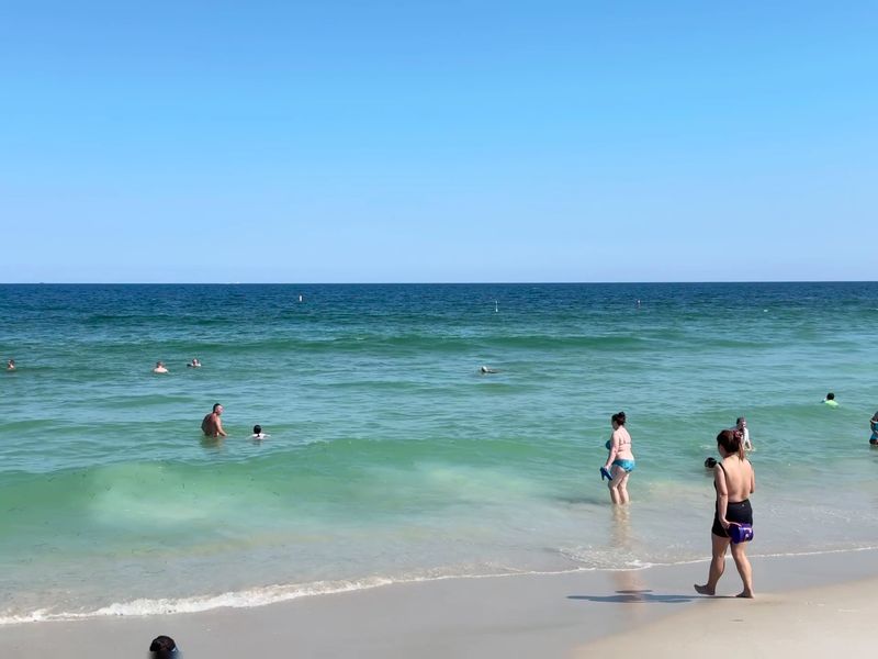 Surf Fishing And Wave Riding On The Atlantic