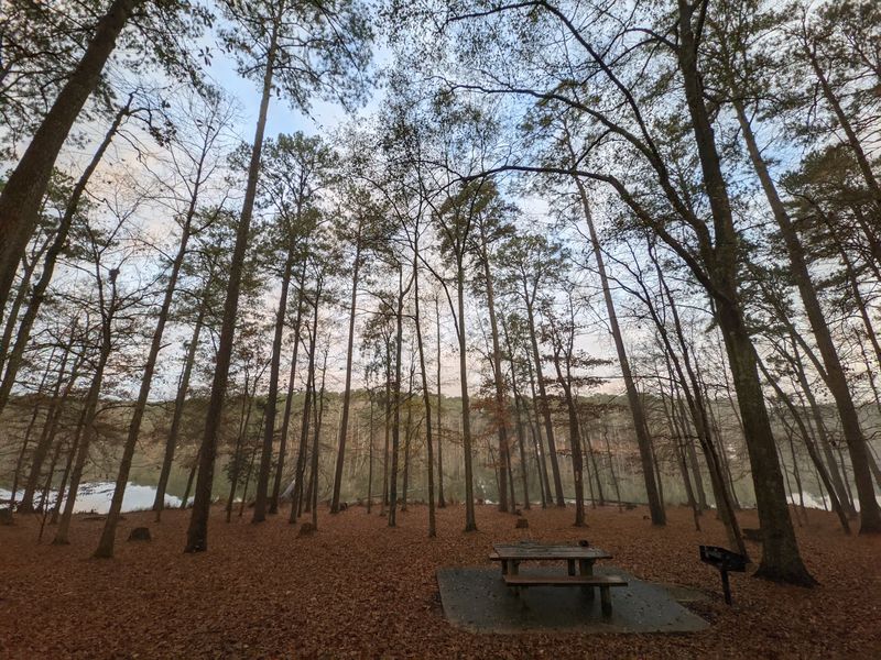 Renovated RV Sites With Lake Views
