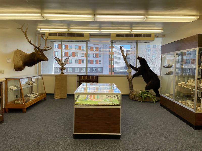 Free Day At The Museum
