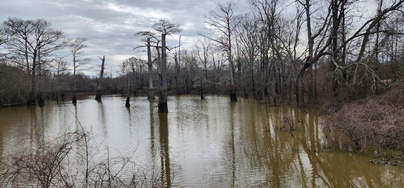 Tallahatchie National Wildlife Refuge