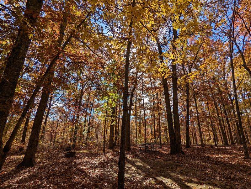 Lace Up For A Four-Mile Loop Through Hardwood Ridges