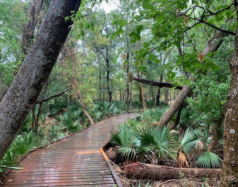 Palmetto State Park, Gonzales