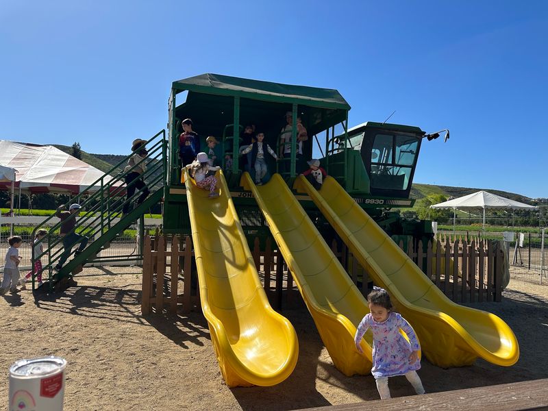 Slides Tunnels And The Country Store