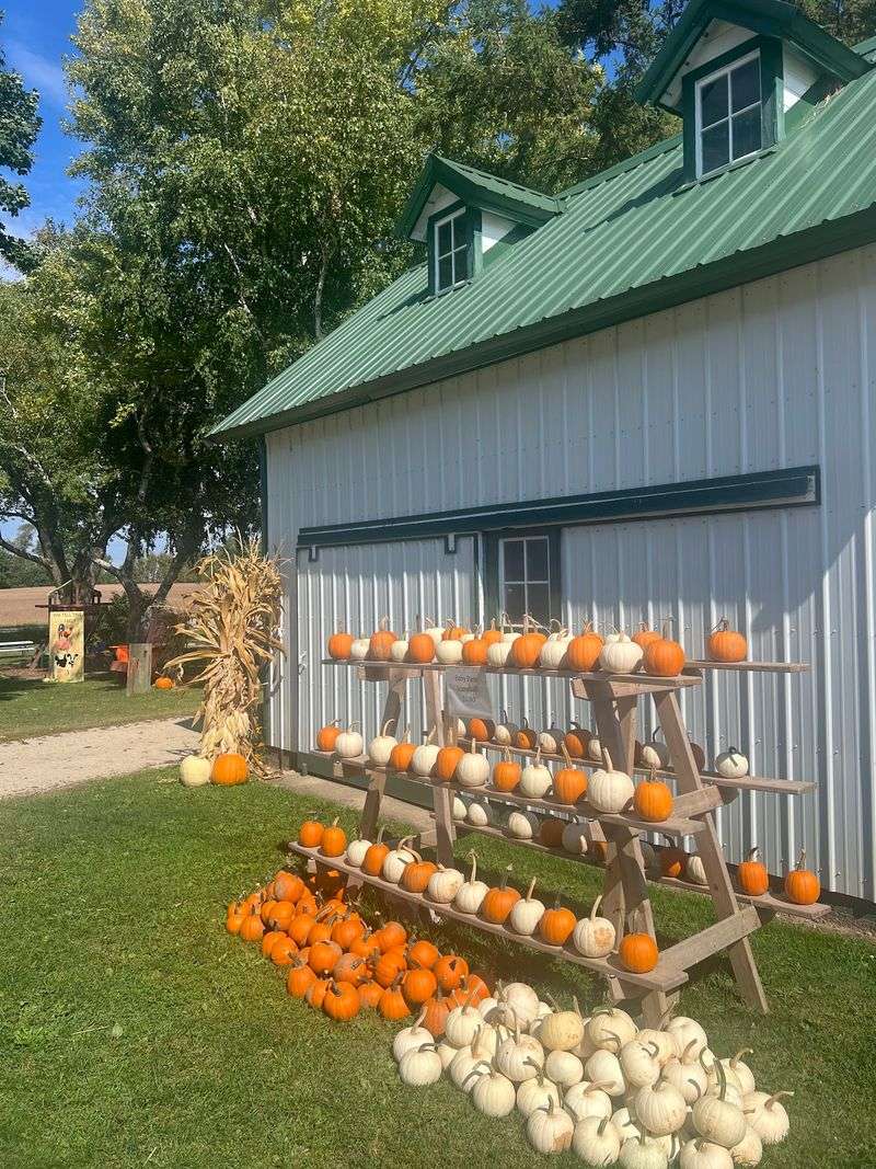 Gourds, Squash, And Fall Decor Galore