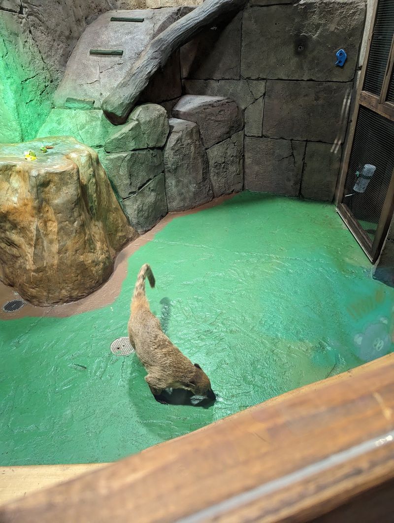 Keepers Who Love To Talk Animals