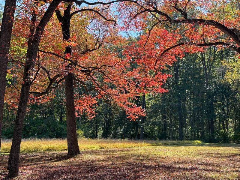 Start Your Walk At A Famous Battlefield Parking Lot