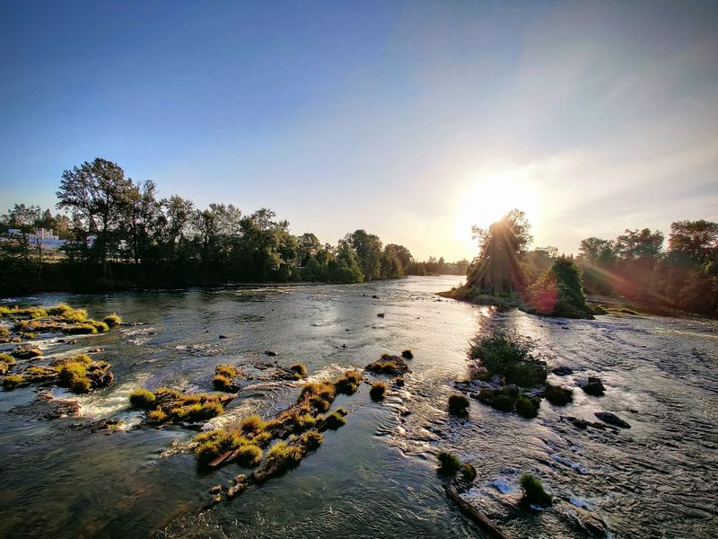 Rolling Along The Willamette