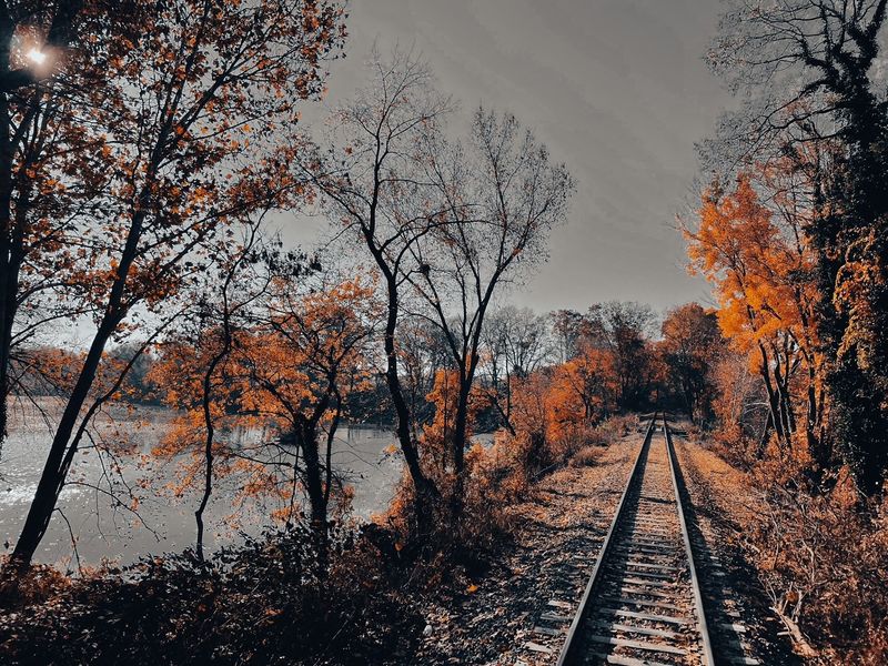 The Countryside Out The Window Steals The Show
