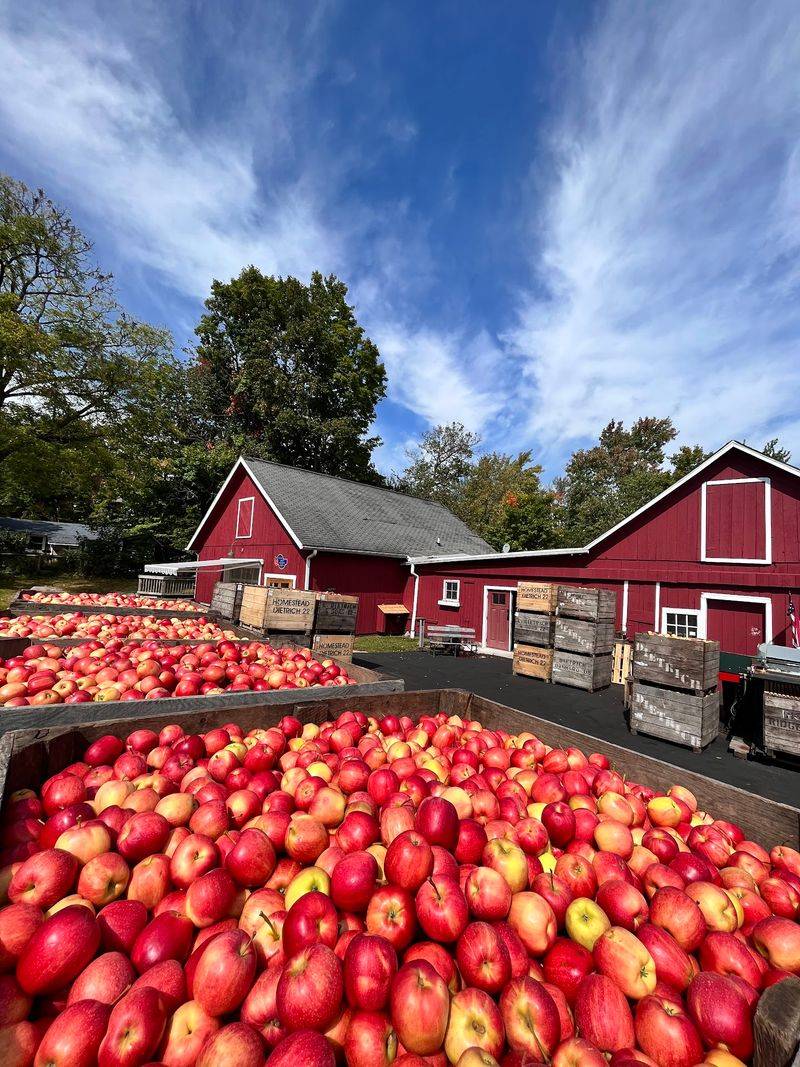 Step Back Into Michigan's Oldest Cider Story