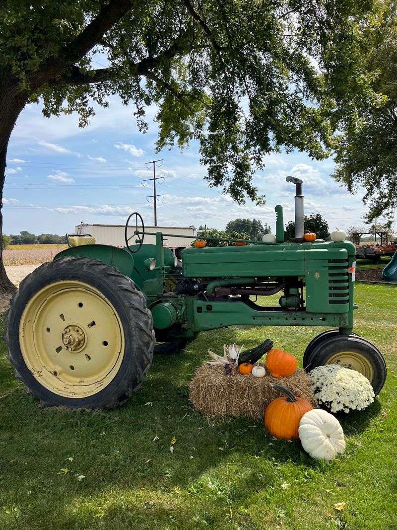 Bumpy Wagon Rides Across The Fields