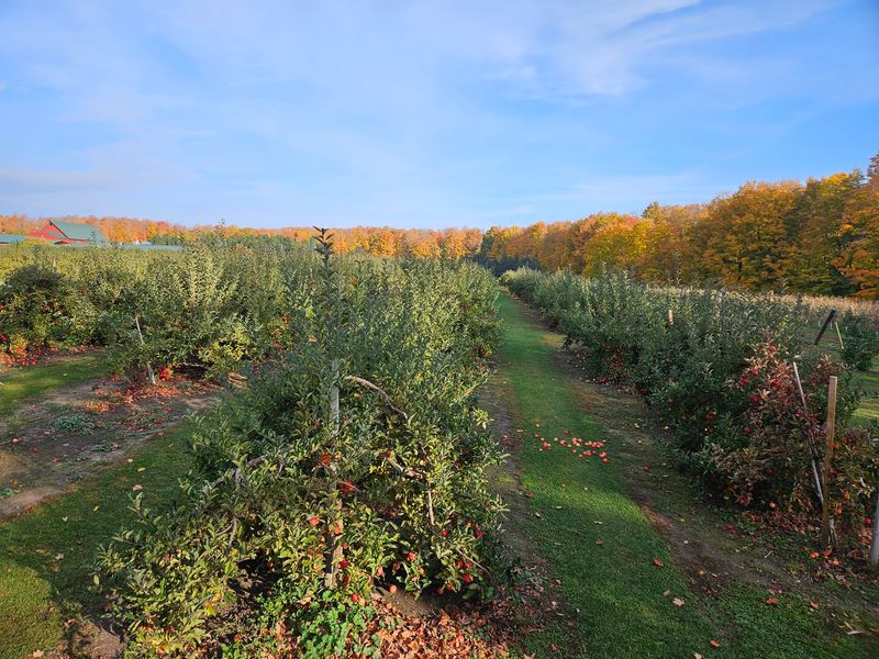 A Northern Orchard With A Big Reputation