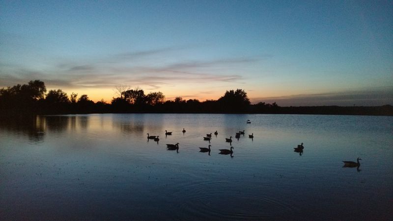 Mark Twain Lake