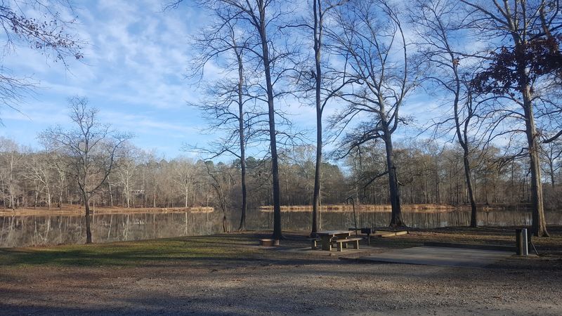 Disc Golf Baskets and a Nine-Hole Course